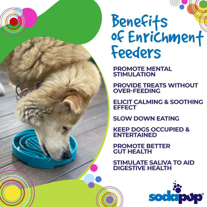 Dog using a light blue shallow slow feeder bowl with Baja design for mental stimulation and slow eating enrichment
