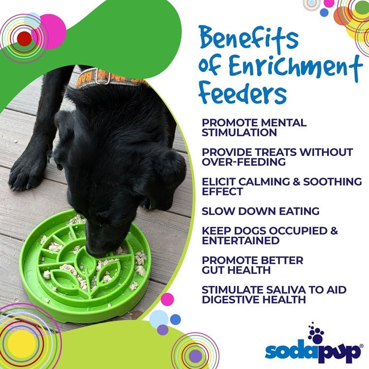 Dog eating from green Garden Design eTray shallow slow feeder bowl promoting mental stimulation and healthy digestion