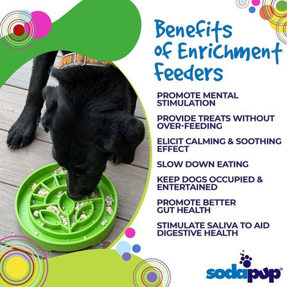 Dog eating from green Garden Design eTray shallow slow feeder bowl promoting mental stimulation and healthy digestion