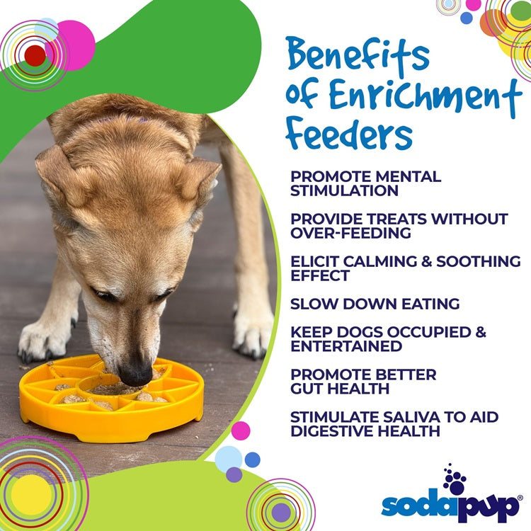 Dog eating from yellow sunflower eTray shallow slow feeder bowl promoting mental stimulation and healthy digestion