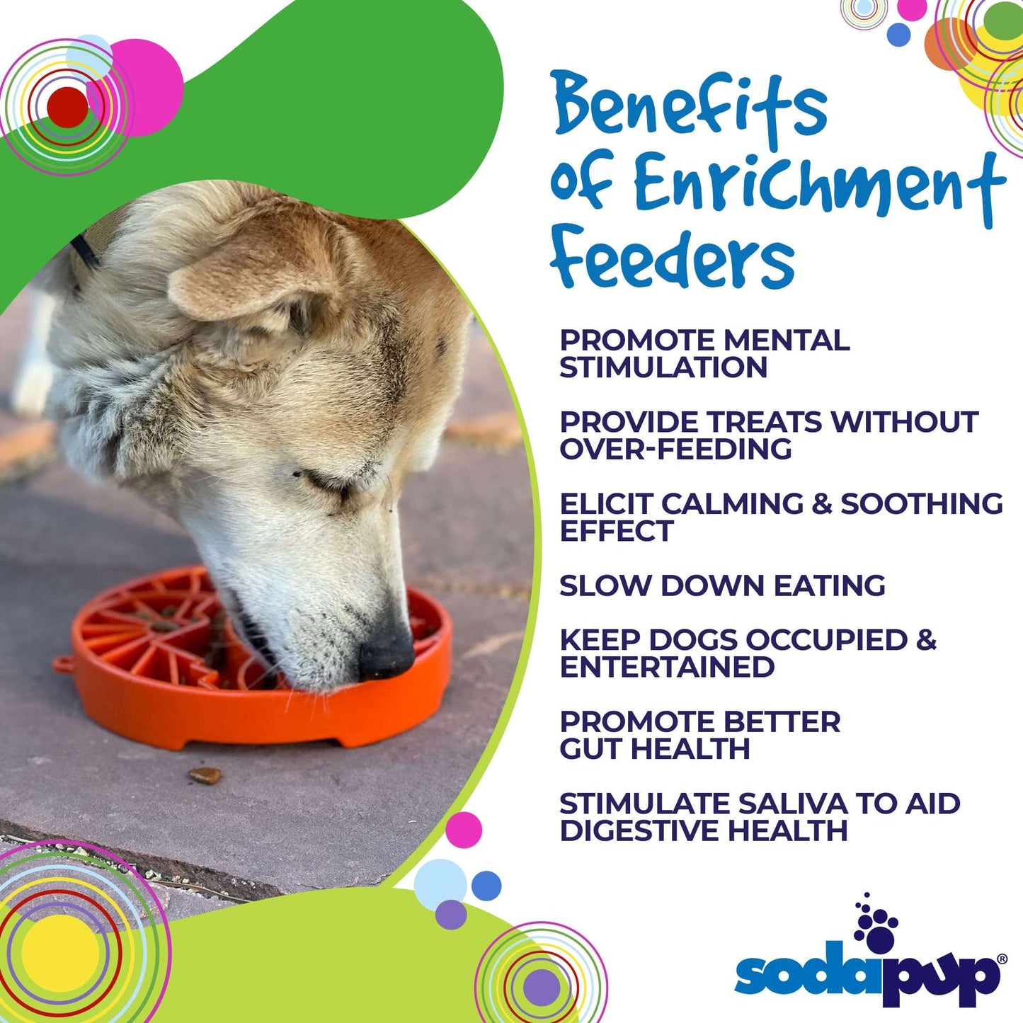Dog eating from burnt orange Sun and Moon Design shallow slow feeder bowl promoting mental stimulation and better digestion