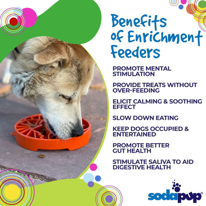 Dog eating from burnt orange Sun and Moon Design shallow slow feeder bowl promoting mental stimulation and better digestion