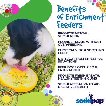 Dog licking a yellow Earth eCoin Nylon Lick Mat outdoors promoting mental stimulation and calming benefits for dogs
