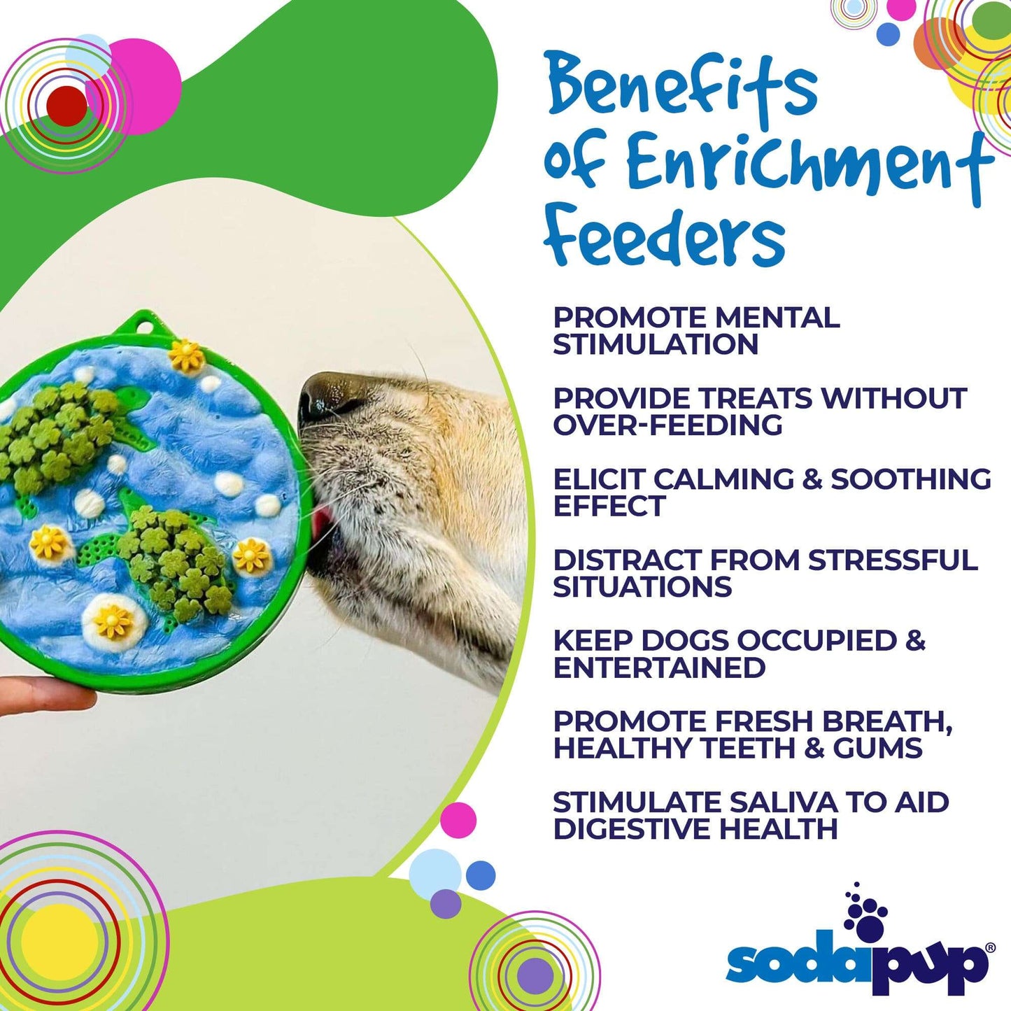 Water eCoin nylon turtle motif durable dog enrichment Snacking Coin  for mental stimulation and dental health