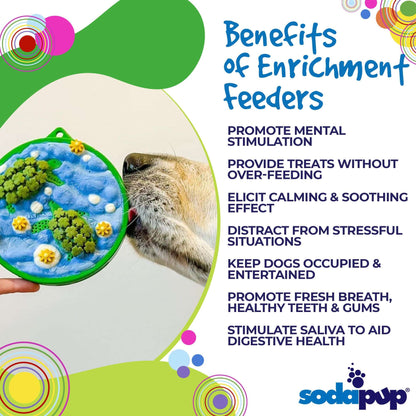 Water eCoin nylon turtle motif durable dog enrichment Snacking Coin  for mental stimulation and dental health