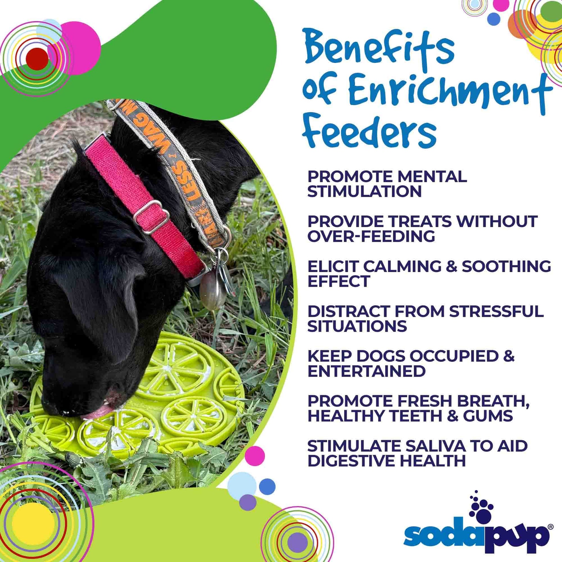 Dog licking yellow citrus design enrichment lick mat outdoors for mental stimulation and anxiety relief
