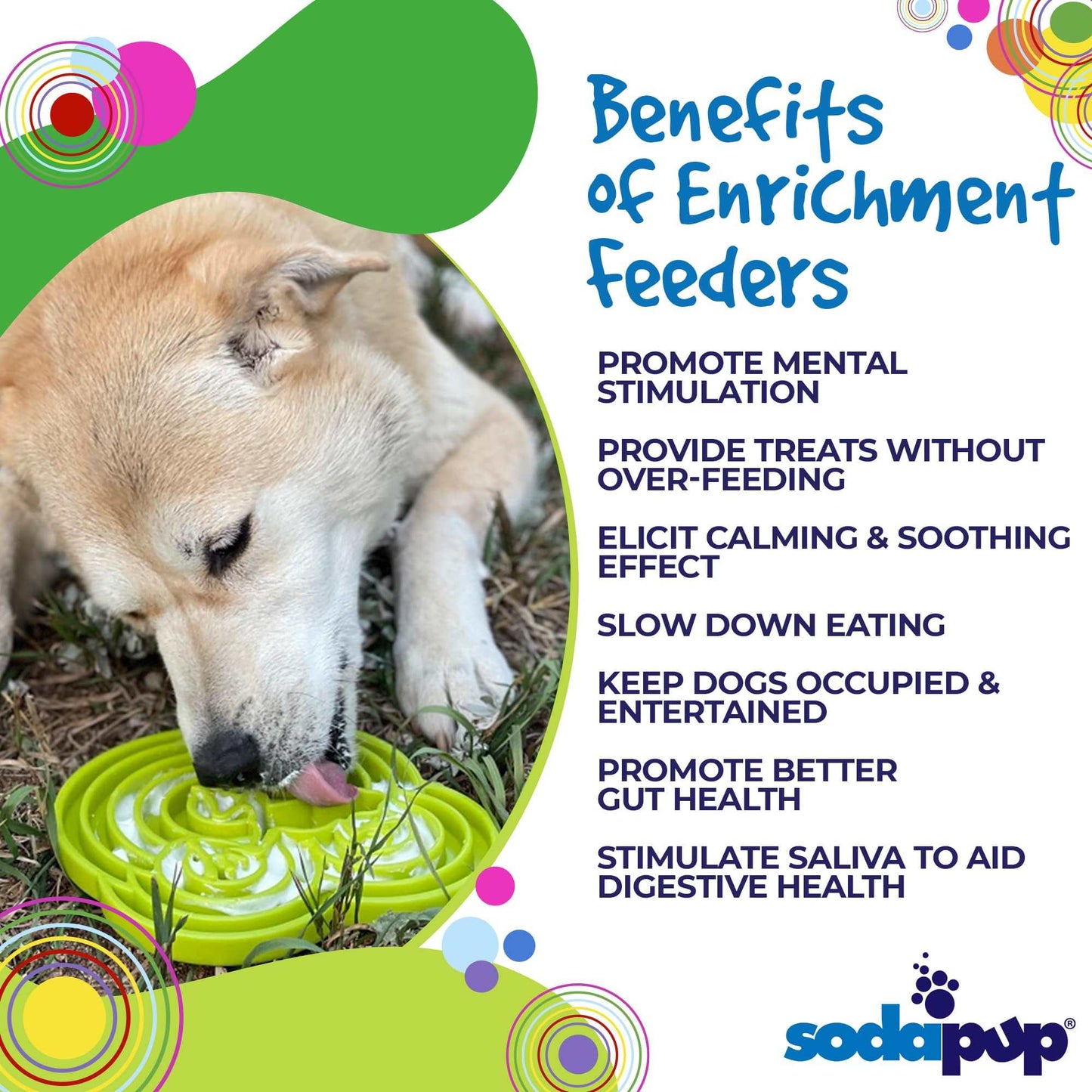 Dog using green Water Frog eTray slow feeder for mental stimulation and healthier eating