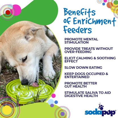 Dog using green Water Frog eTray slow feeder for mental stimulation and healthier eating