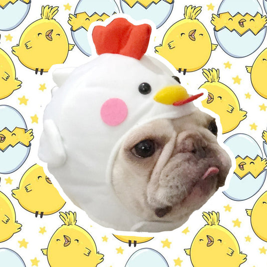 Cute Fish Dog Hat