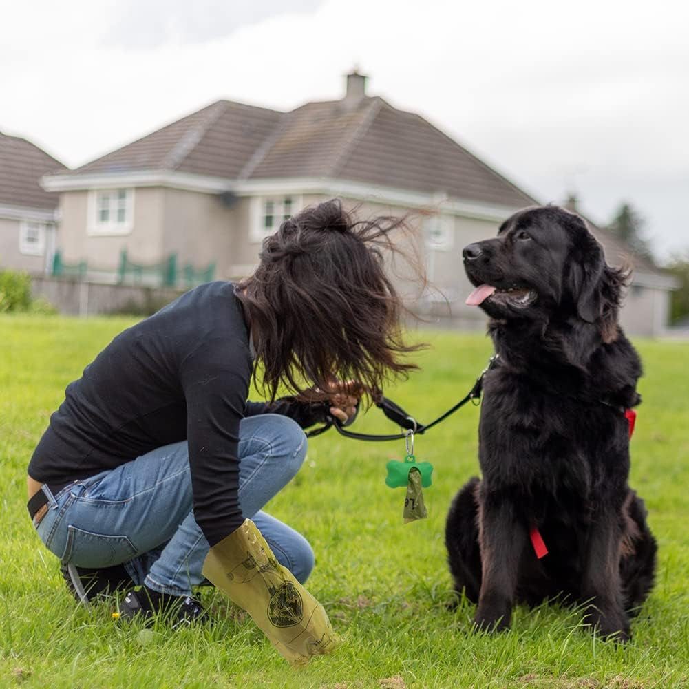 Person wearing green gloves using eco-friendly biodegradable dog poop bags while holding leash of black dog on grassy lawn near houses