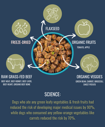 Premium raw freeze dried dog food with grass-fed beef, organic fruits, veggies, and flaxseed in a bowl