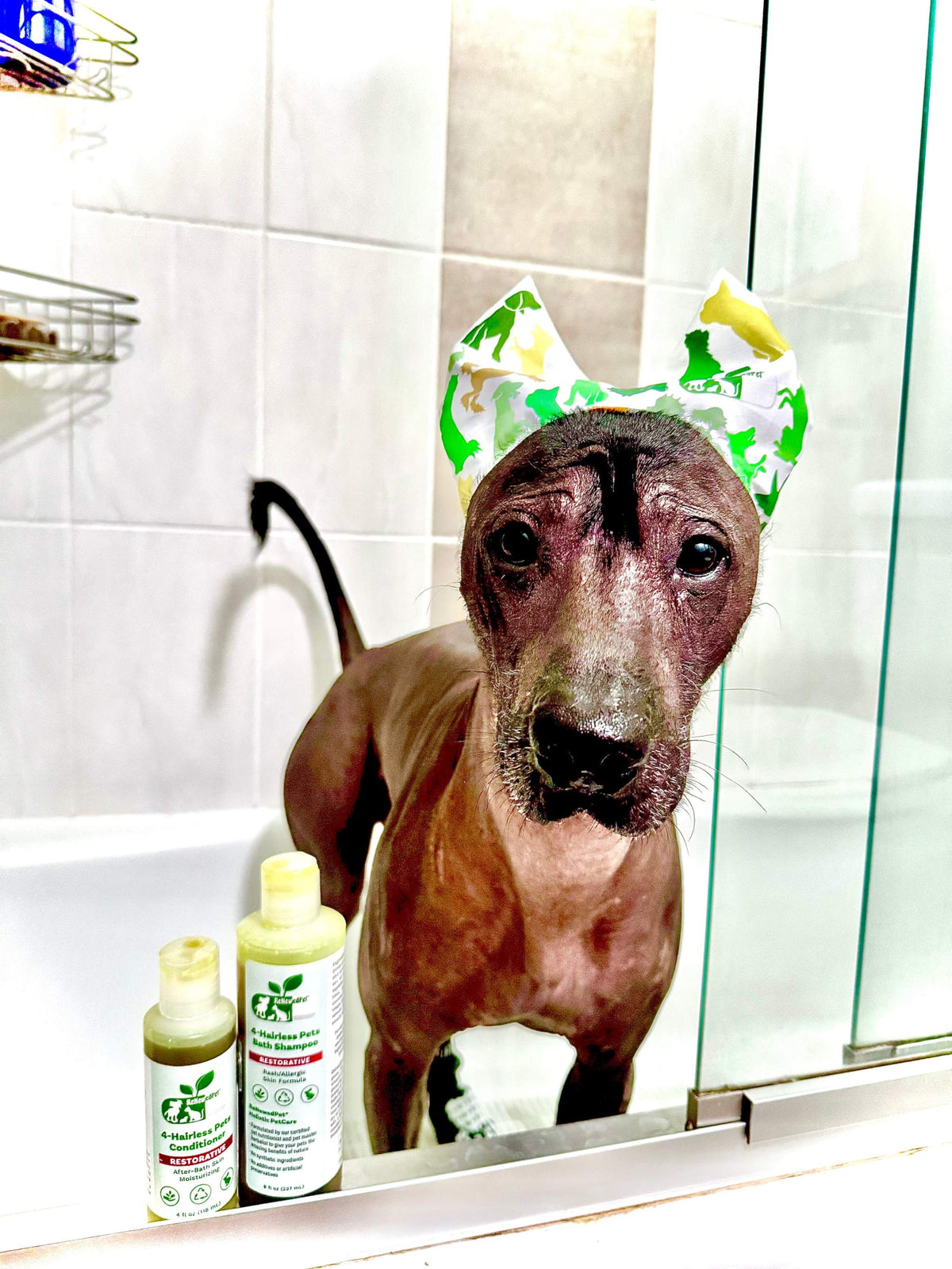 4-ALL PETS Shower Cap / Ear / Sun Cap!