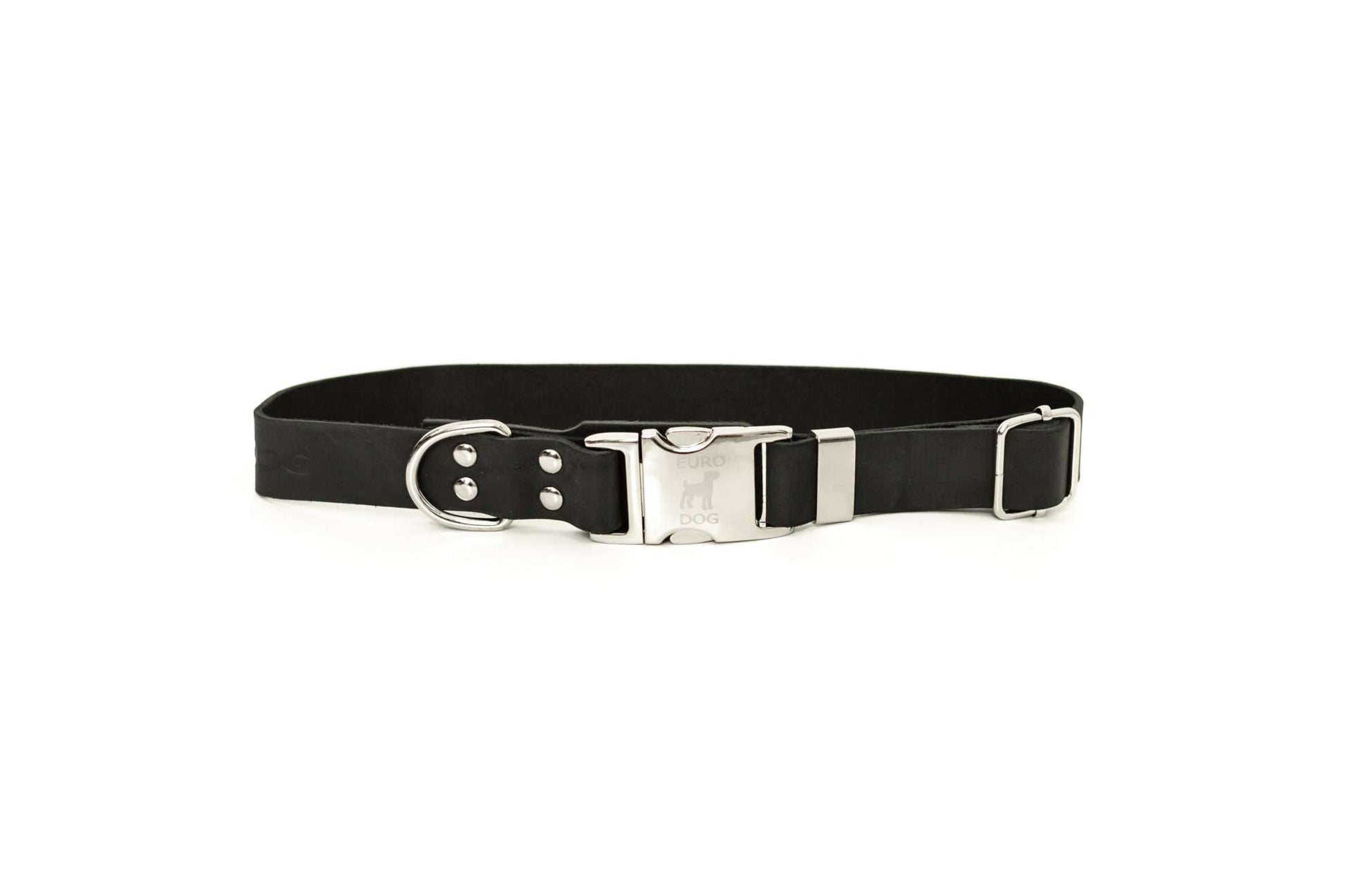 Modern style quick-release midnight black leather dog collar with silver buckle and D-ring
