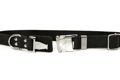Modern Style Quick-Release Midnight Black Leather Dog Collar -USA Made