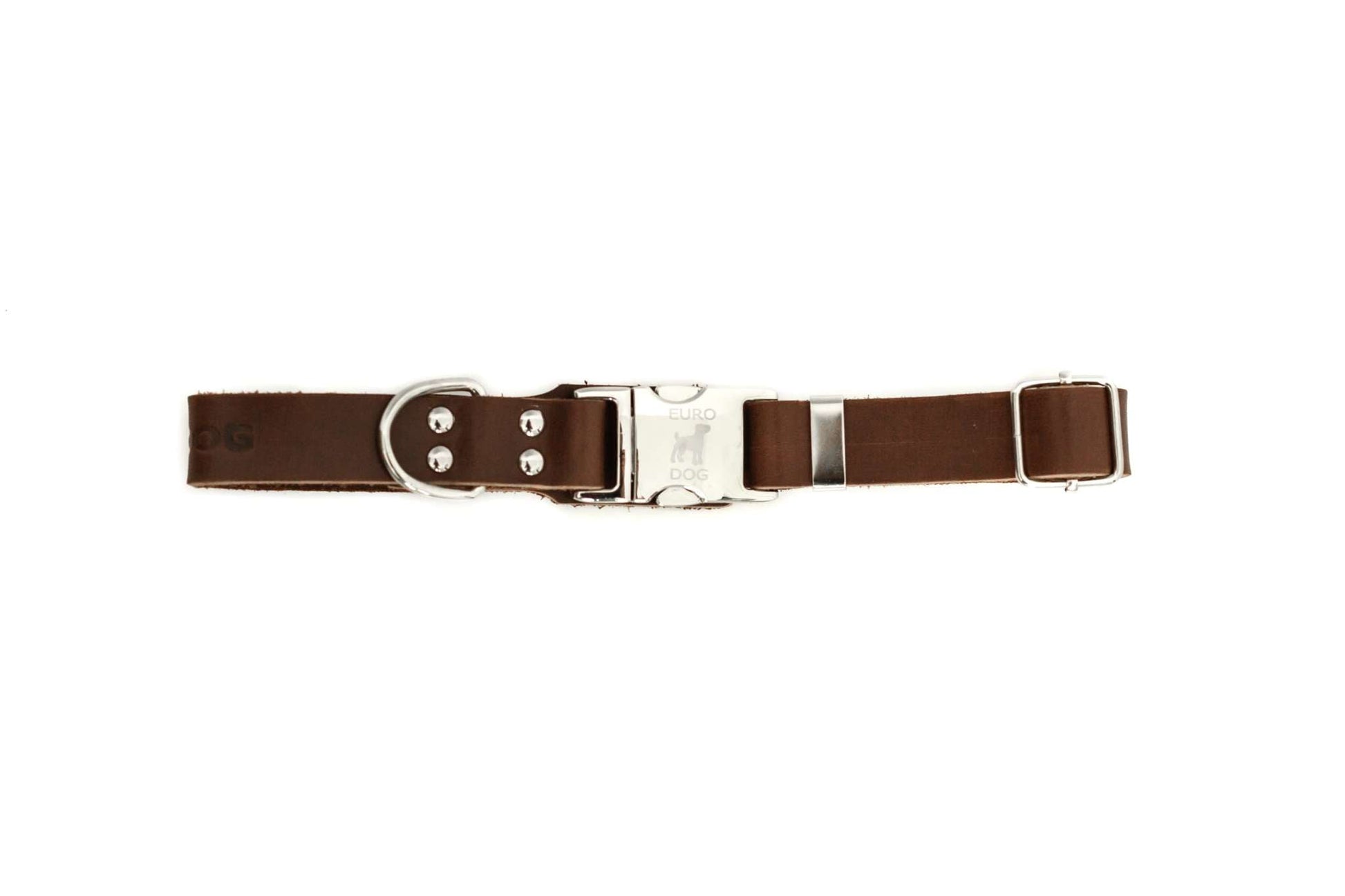 Modern style quick-release chocolate leather dog collar with silver buckle and D-ring
