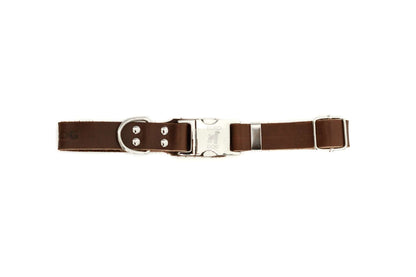 Modern style quick-release chocolate leather dog collar with silver buckle and D-ring