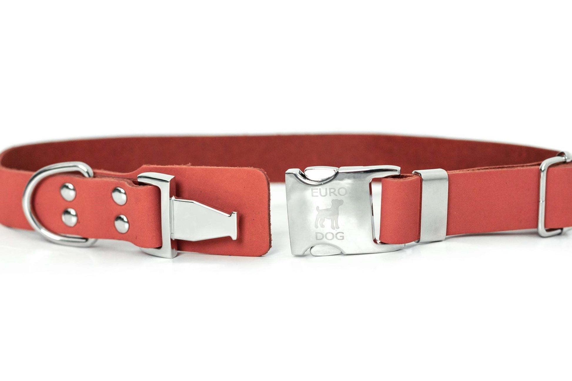 Modern style quick-release coral reef leather dog collar with protective padding and steel hardware