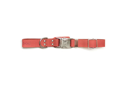Modern style quick-release coral reef leather dog collar with protective padding and steel hardware