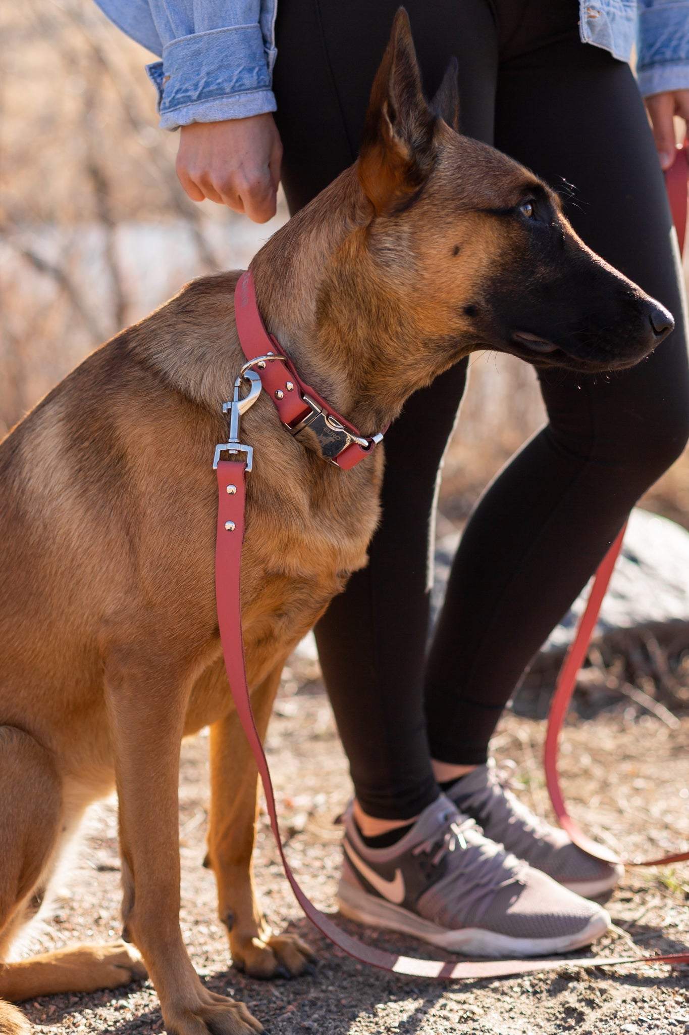 Modern style coral reef leather dog collar with quick-release buckle and protective leather tongue made in USA