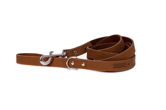 Modern style earth brown leather dog leash with extra d-ring and metal clip
