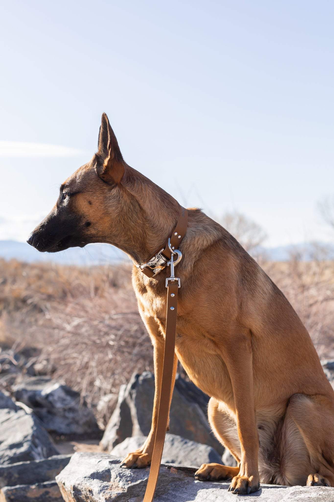 Modern Style Earth Brown Leather Leash - Chic & Durable Lead for Dogs
