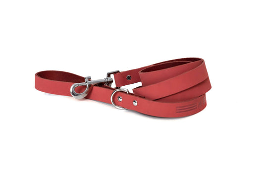 Modern Style Coral Reef Leather Leash with extra d-ring and sleek design for dogs