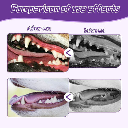 Pet toothbrush for dogs with silicone bristles for gentle tongue and teeth cleaning