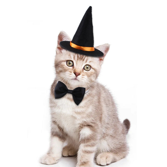 Halloween Wizard Pet Costume