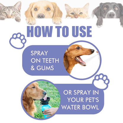 Pet tooth cleaning spray application instructions with dogs and cats images