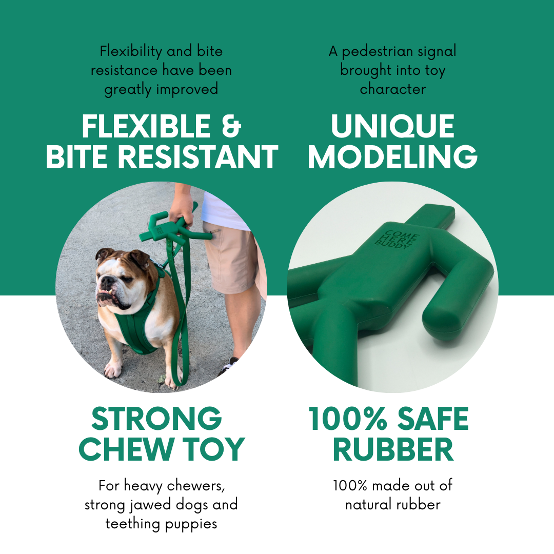 Durable 9.5-inch BPA-free natural rubber dog chew toy for all breeds and ages