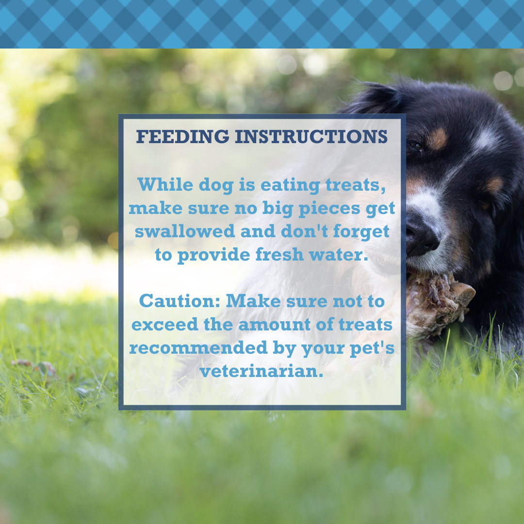 Dog chewing on Country Living All-Natural Beef Trachea Dog Treats, natural protein-packed dental chews for joint health and muscle support