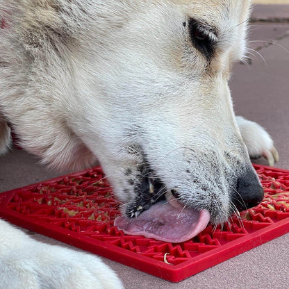 Dog licking red Peace Tree emat Christmas tree shaped enrichment lick mat with textured patterns