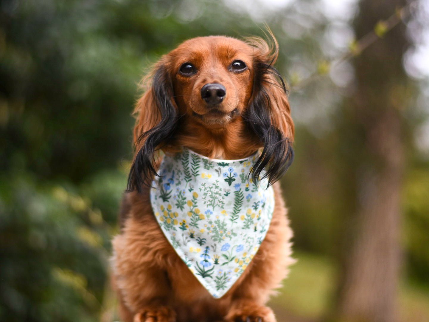 Dog Bandana - High-Quality, Adjustable & Machine Washable | Mystical