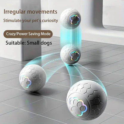 Interactive pet toy ball with automatic bouncing and rolling for small dogs