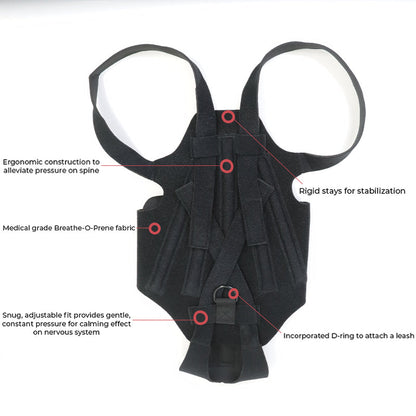 Back Brace For Dogs With IVDD, Arthritis, Back Pain, Surgical Recovery And Rehabilitation, Dachshund Back Pain Relief, IVDD Harness