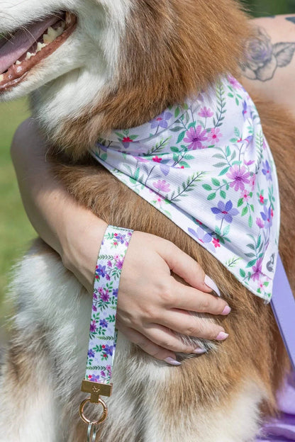 Dog wearing Wildflower Meadow Set bandana with matching floral keychain held by person outside