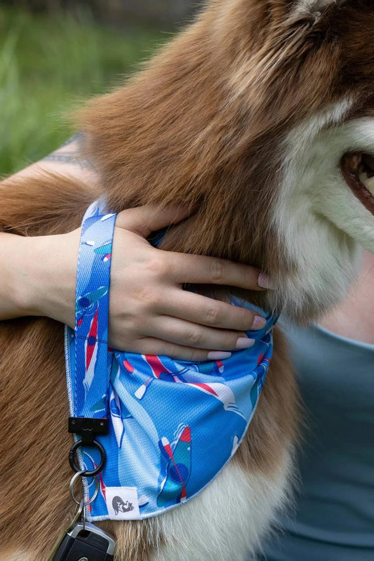 Dog wearing blue K9 Kayak Dog Bandana with matching kayak-patterned wristlet keychain attached