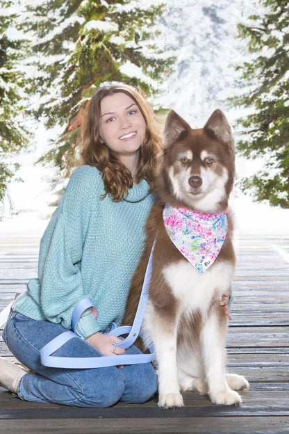 Dog wearing colorful Hydrangea Haven Dog Bandana sitting with woman outdoors in winter forest setting