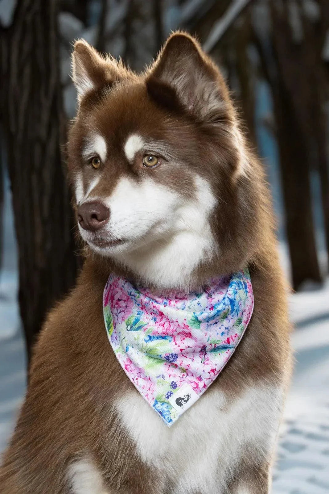 Hydrangea Haven Dog Bandana & Matching Keychain - Stylish Pet Gift Set