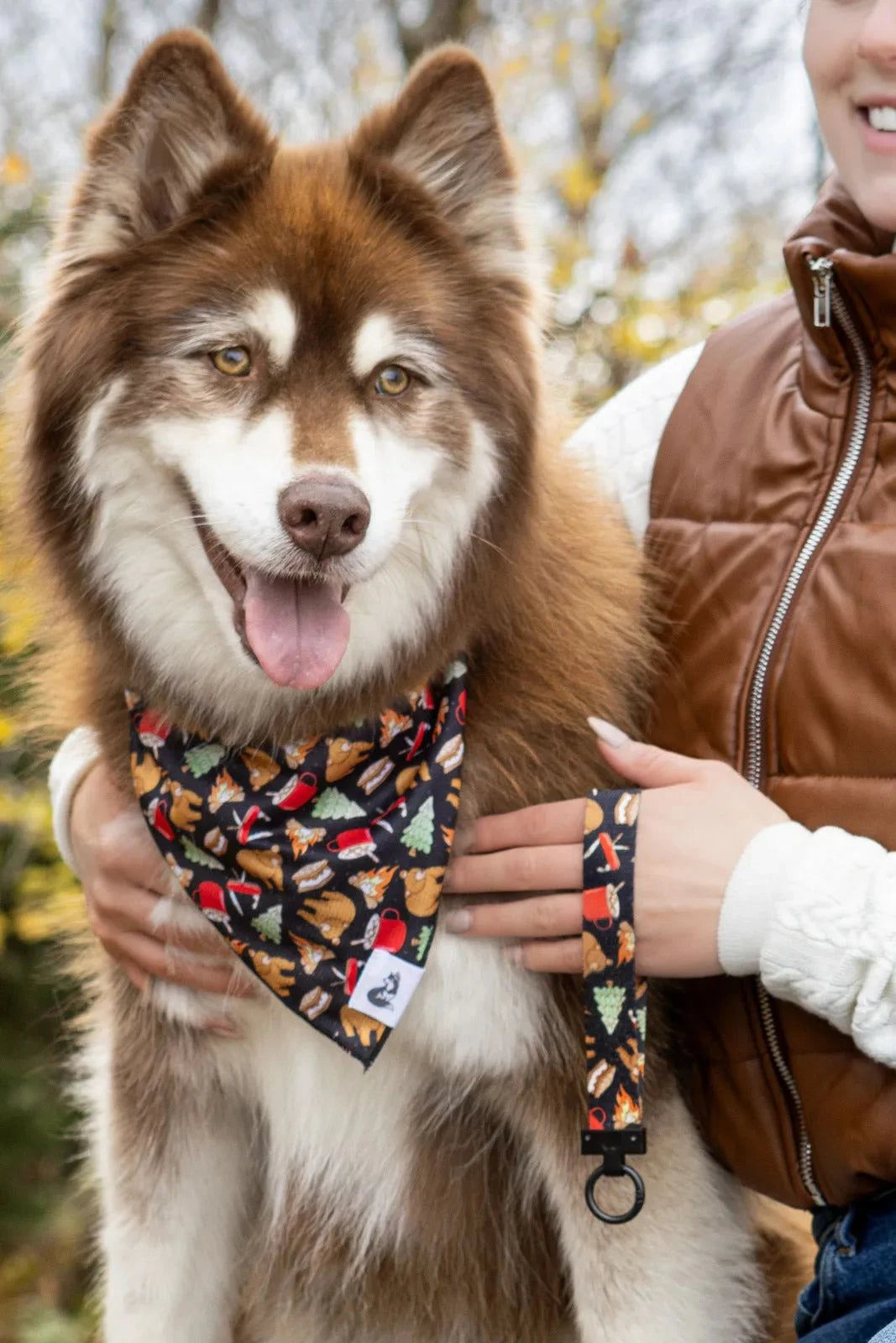 Dog wearing Woodland Tales Dog Bandana with matching keychain featuring animal and camping designs