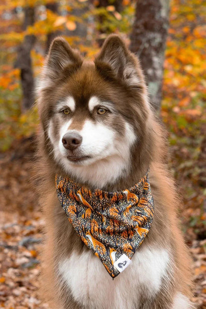 Foxes in Fall Dog Bandana and Matching Keychain Set - Autumn Adventure