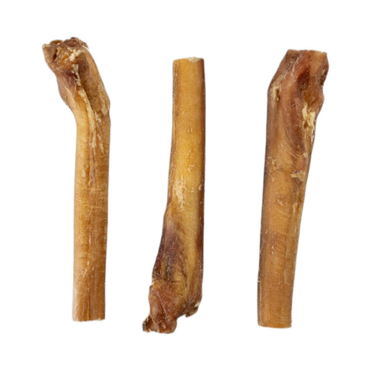 All-Natural Beef Bully Sticks for Dogs | Long-Lasting 6-Inch Chews