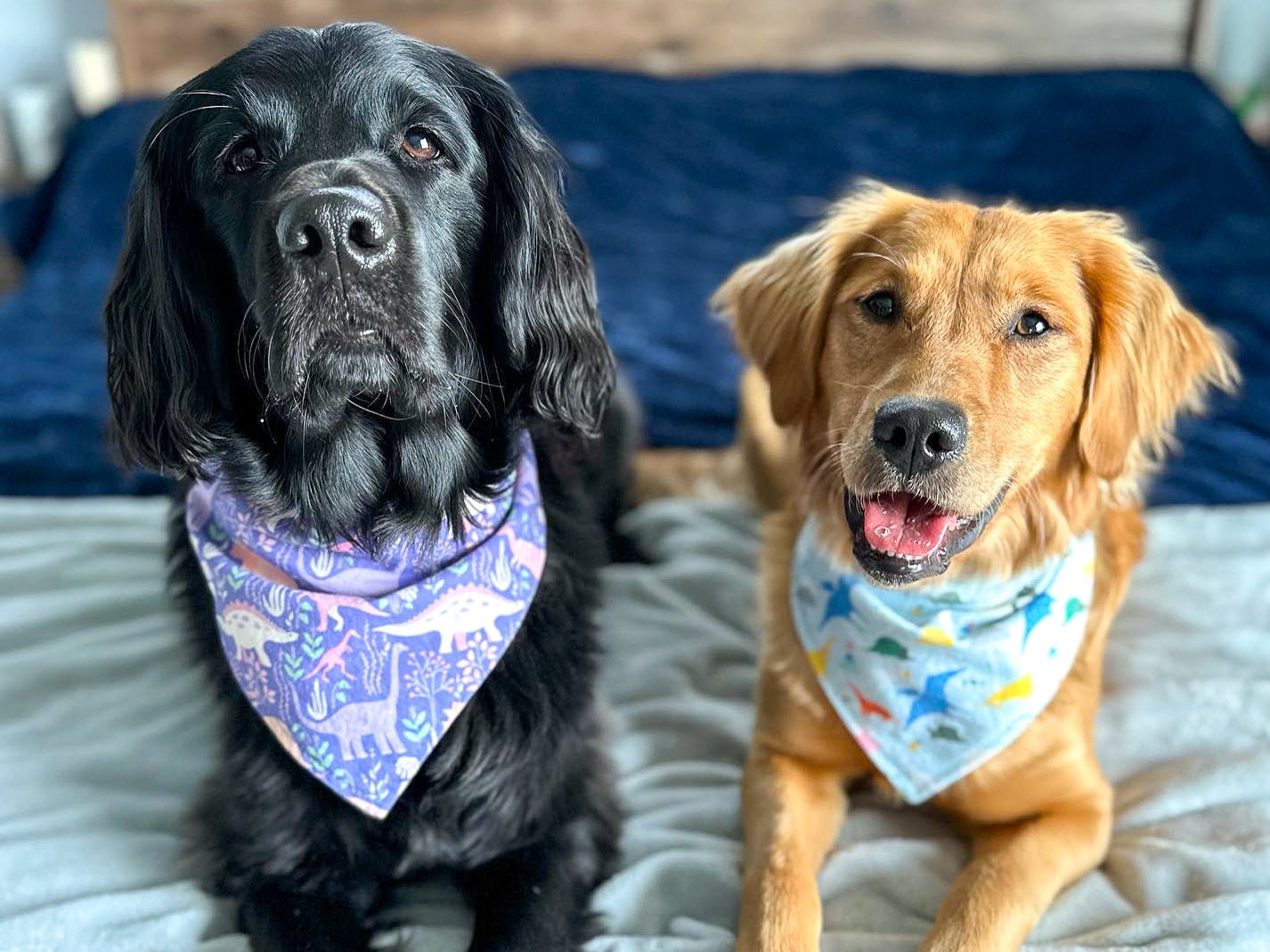 Dog Bandana - "I Love Mom" Customizable High-Quality Pet Accessory