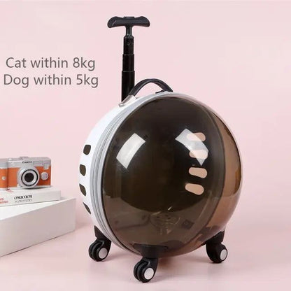 Transparent rolling pet travel trolley with wheels for puppies and cats in pink and green colors