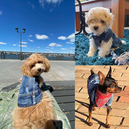 Dog Jean Jacket - Stylish Blue Denim Pet Coat & Vest for Small Dogs