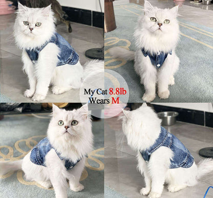 Dog Jean Jacket - Stylish Blue Denim Pet Coat & Vest for Small Dogs