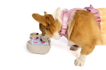 Painted Ladies Nose Work Dog Toy - San Fran-Inspired Plush Plaything