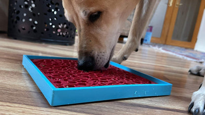 Dog licking a red and blue Vino Dog eMat enrichment lick mat on wooden floor