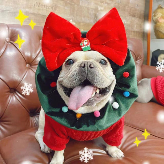 Christmas Pet Headgear