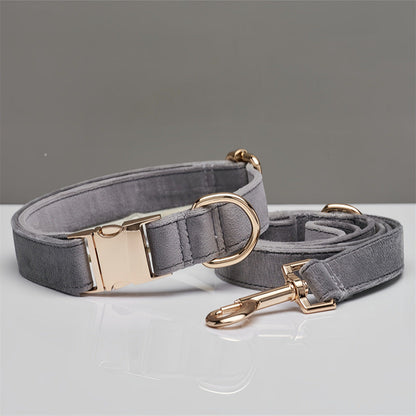 Mint Green Dog Collar Leash